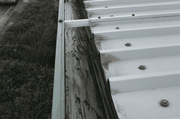 Commercial gutter cleaning specialists in Biggleswade
